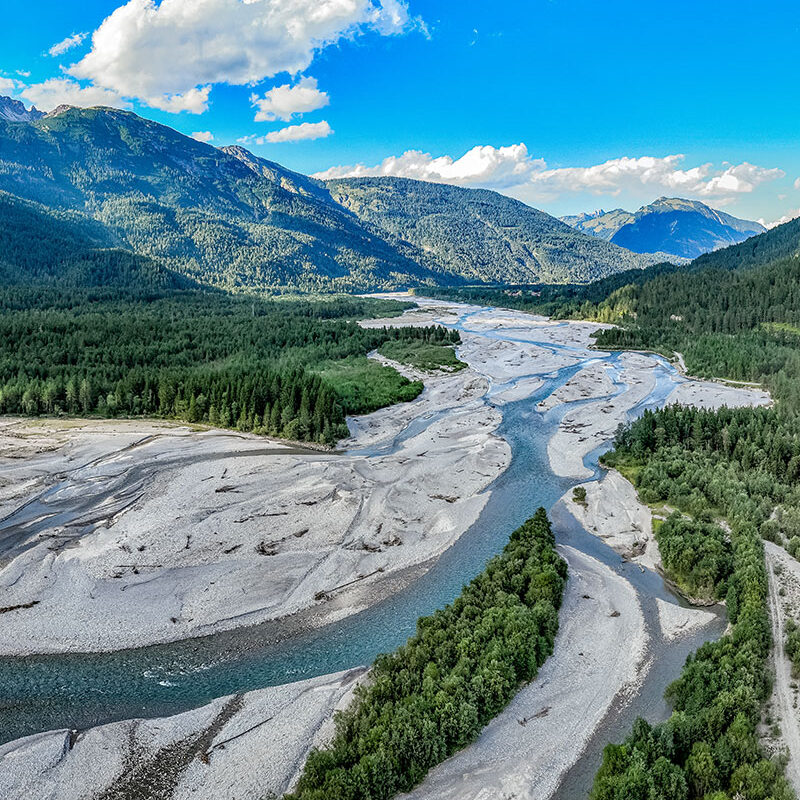 Maleo_Bild_Test Maleo_Bild_Test