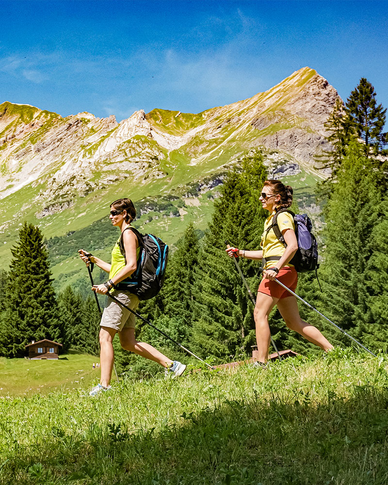 Maleo_am_Lech_Sommer_1